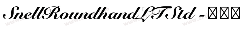 SnellRoundhandLTStd 字体转换